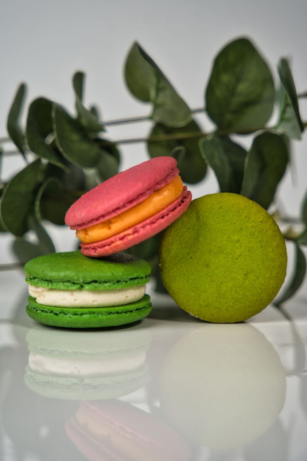 Macarons · boîte de 6 — Maison Marame, boulangerie pâtisserie aux Almadies, Dakar